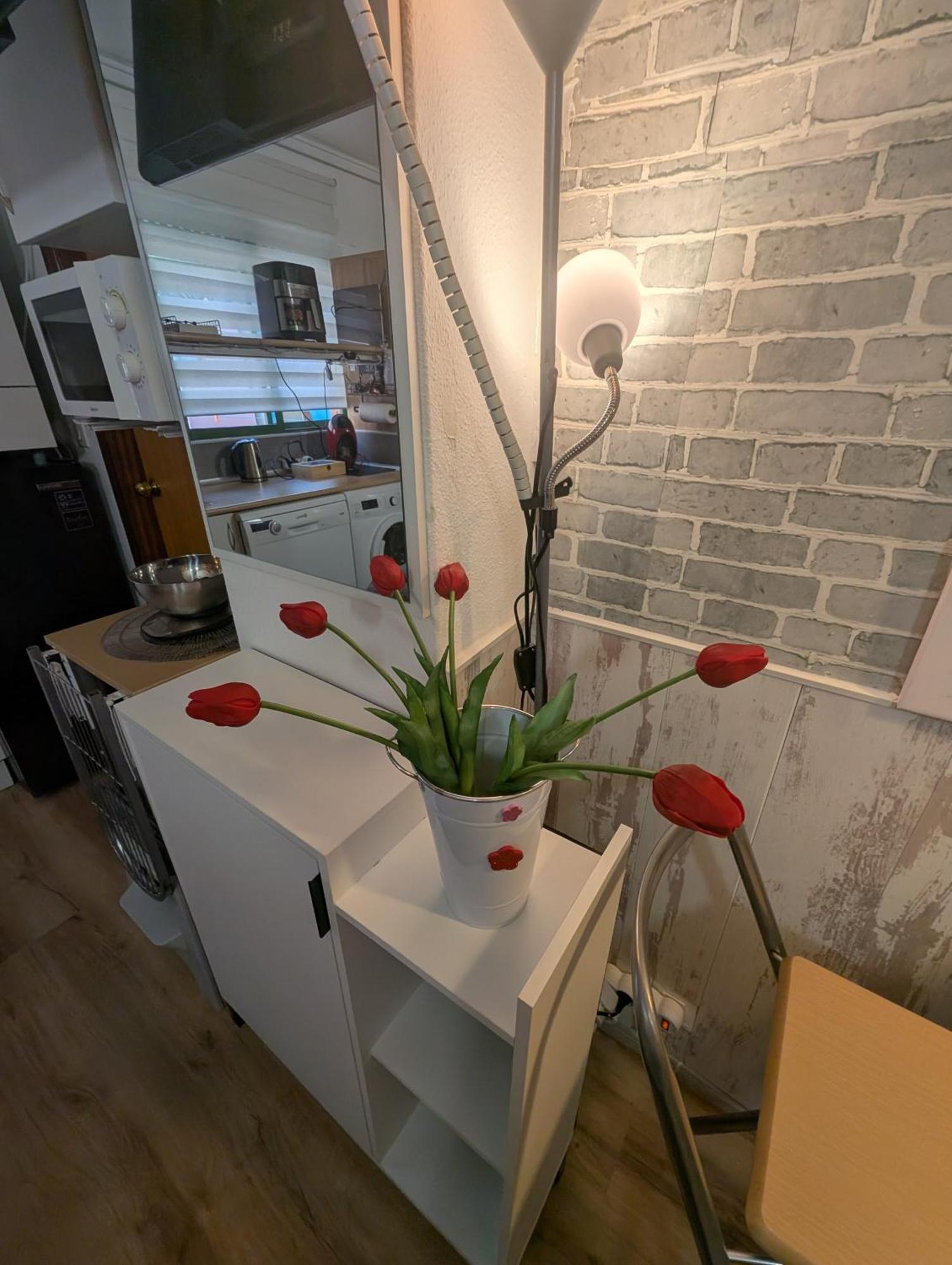 Alicante Postiguet Studios 外观 照片
