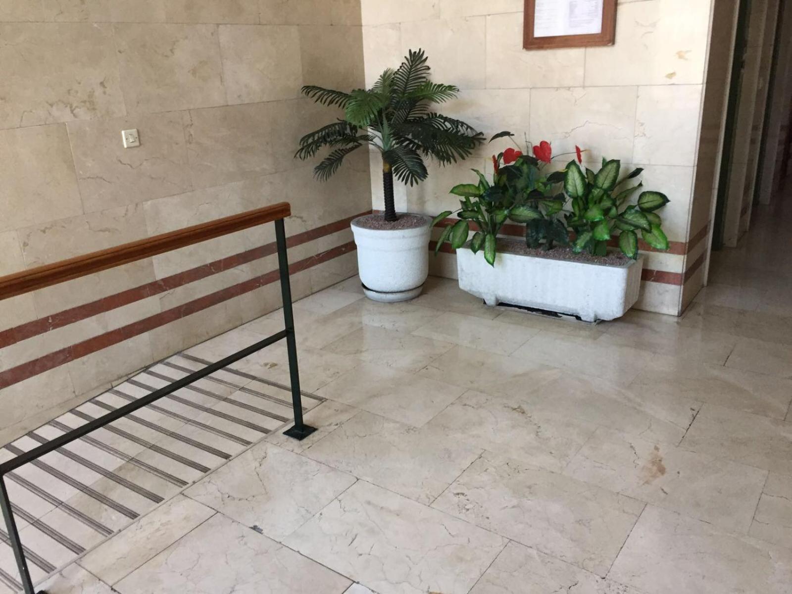 Alicante Postiguet Studios 外观 照片